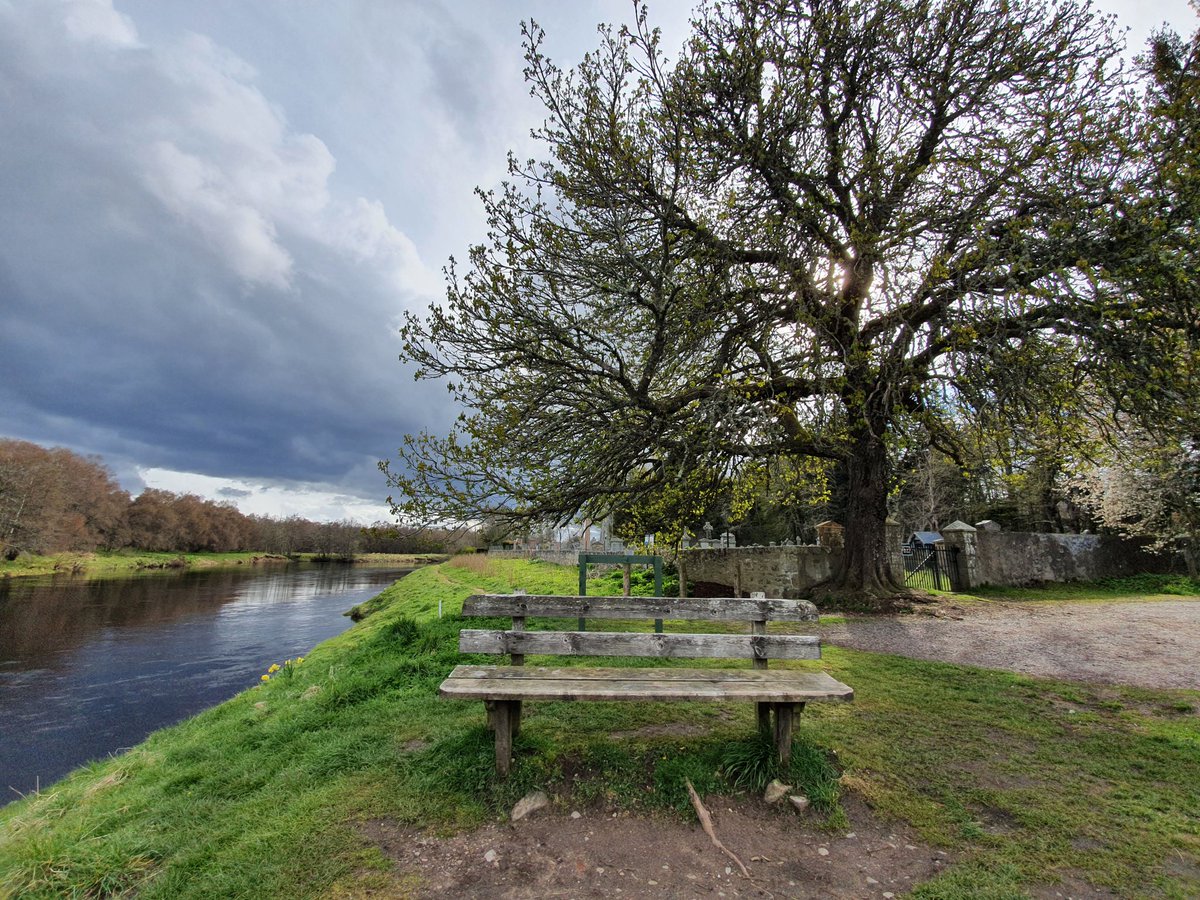 TanyaMMacDonald's tweet image. #ThrowbackThursday to my favorite #tree and #thinkingspot in #Scotland...