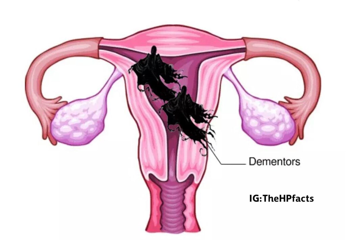 TheHPfacts's tweet photo. Accurate representation of periods. https://t.co/SA4b6Z6ehk