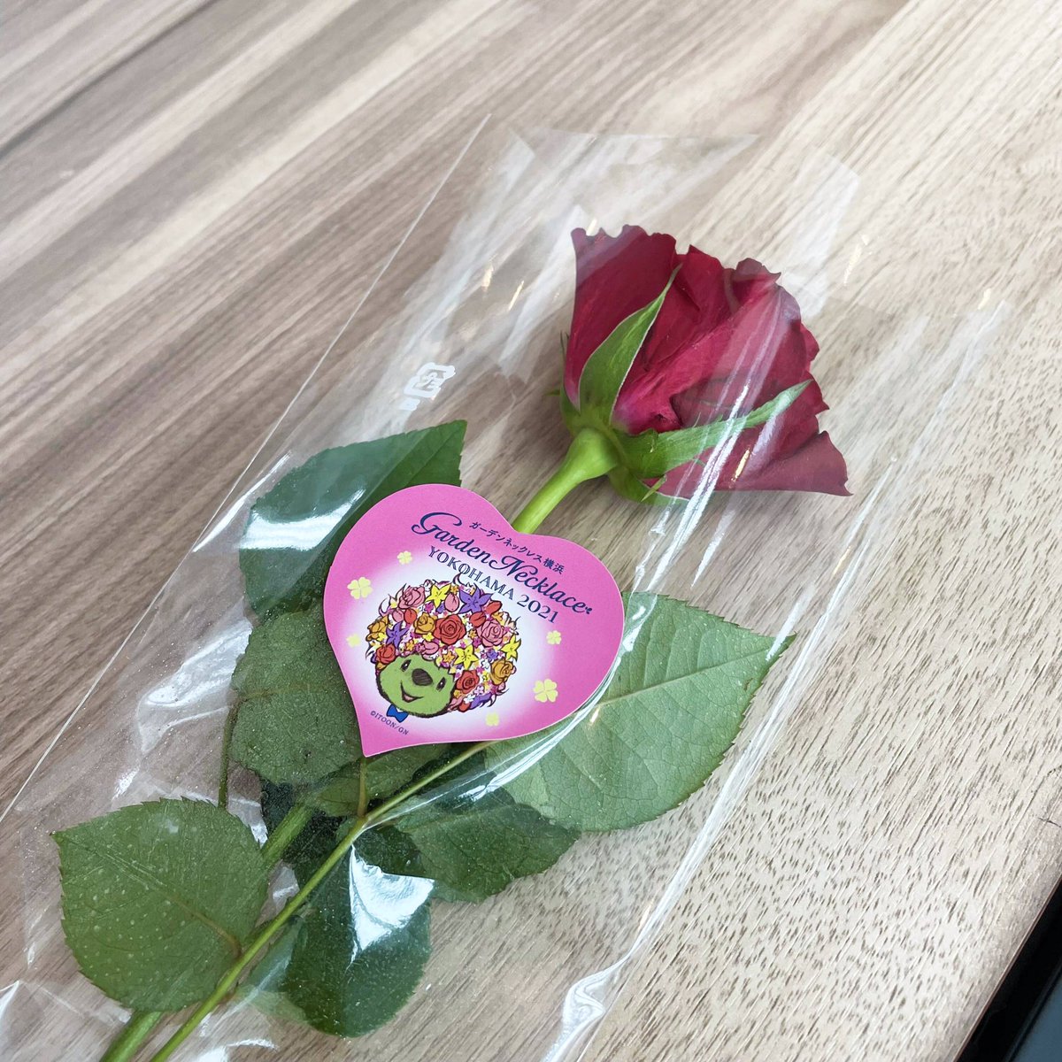 gardennecklace's tweet photo. 【5月13日 ローズフェアwith趣味の園芸】
「ローズフェアwith趣味の園芸」会場では、本日よりWEBアンケートをスタートしました！
14日（木）はバラ、15、16日はブルーベリーの苗をプレゼントします！
ご来場の際は、ぜひアンケートにも参加してください✨ https://t.co/I2pTzBnNae