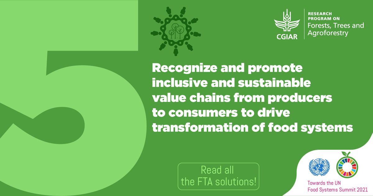 FTA_Partnership's tweet image. From producers to consumers, let&apos;s promote inclusive and sustainable models of value chains to drive transformation of food systems.

That&apos;s FTA&apos;s #GameChangingSolution for #UNFSS # 5️⃣

Explore the solutions #ForTheFuture of @FoodSystems ➡️ foreststreesagroforestry.org/11-game-changi…
