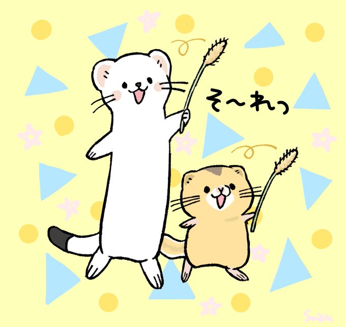 オコジョとヤマネ アニメレーダー オコジョとヤマネ アニメレーダー
