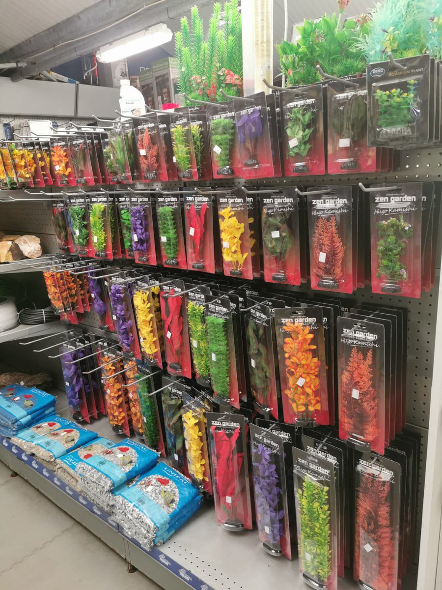 deepblueaquatic's tweet image. Huge delivery of artificial plants now in stock #fishshop #marinefish #deepblueaquatic #hemelhempstead #hemel #tropicalfish #fishtank #picoftheday #aquarium #coral #marinefish #mickstudiomix #juwel #redsea #aquadip #aquapacific #aquaone #evolutionaqua #hozelock #oase