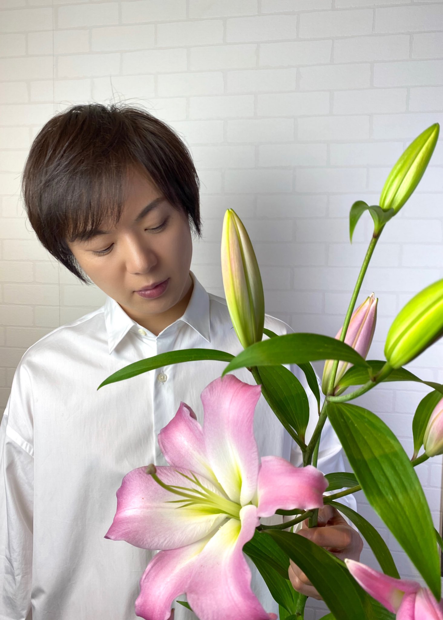 竹島宏スタッフ 公式 ゆり スーパースター ゆり ピンク色の英語の花言葉 Wealth And Prosperity 富と繁栄 英語の花言葉が素敵です 皆さんのスーパースターに なれるように頑張ります 今日も１日お疲れ様でした ひろネット 花便り 花言葉