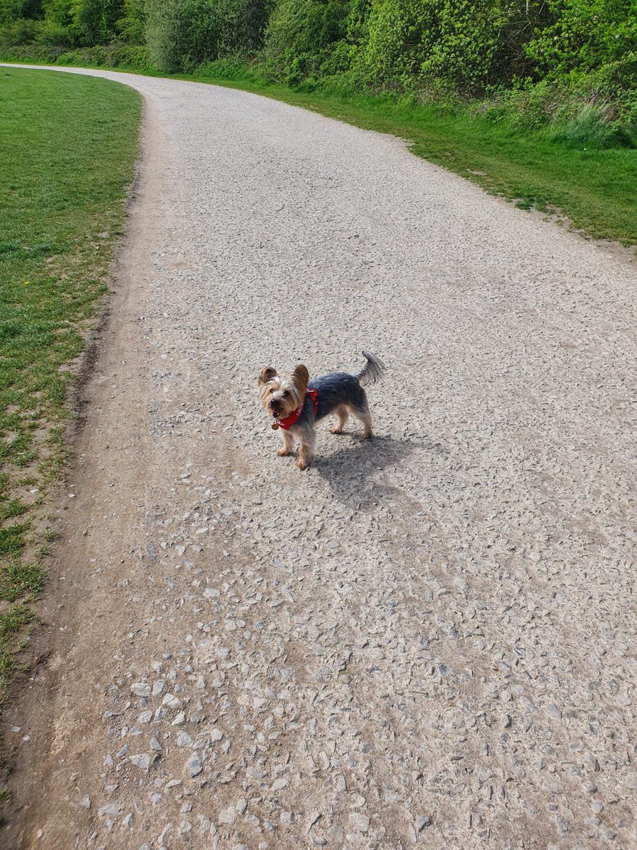 BeciOldfield's tweet image. Edward enjoyed his hour out of the office @HallamStaff #HallamOutdoors