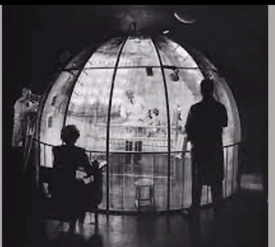 Dr Jo Albin-Clark tweet media