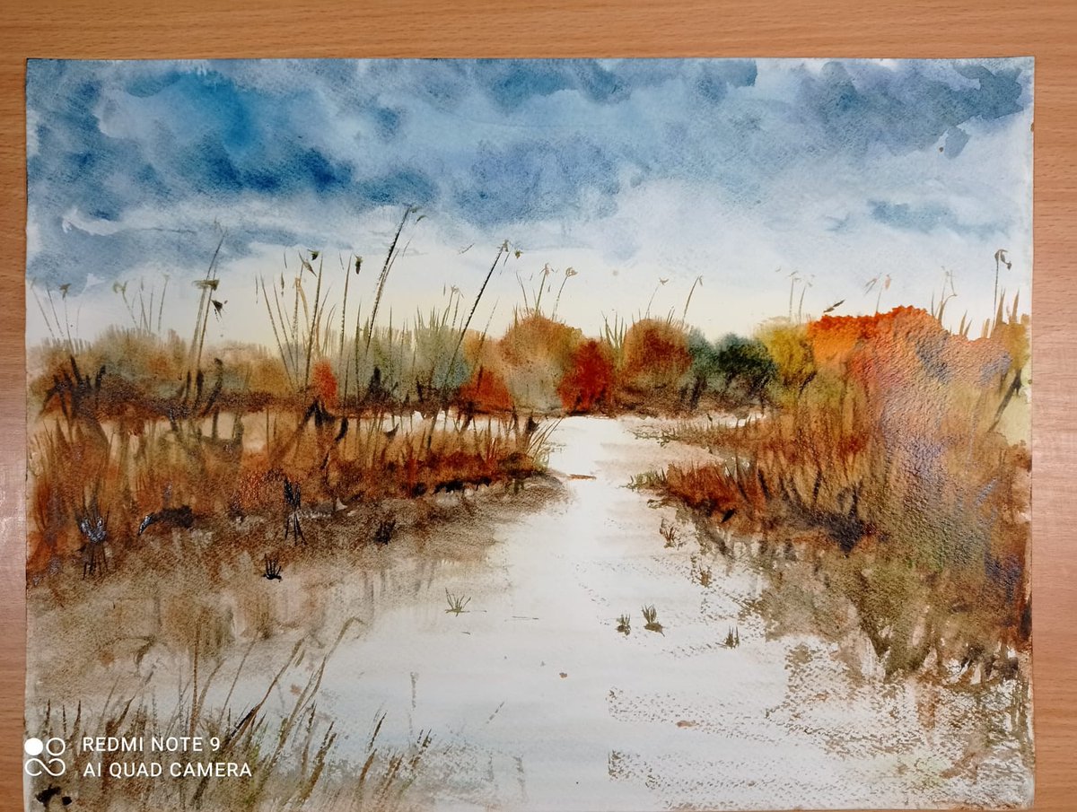 ActivPaint's tweet photo. Je commence une série de peinture aquarelle c'est un nouvelle technique #peinture #aquarelle #watercolor #watercolorpainting #Watercolour https://t.co/knfuufQIQp