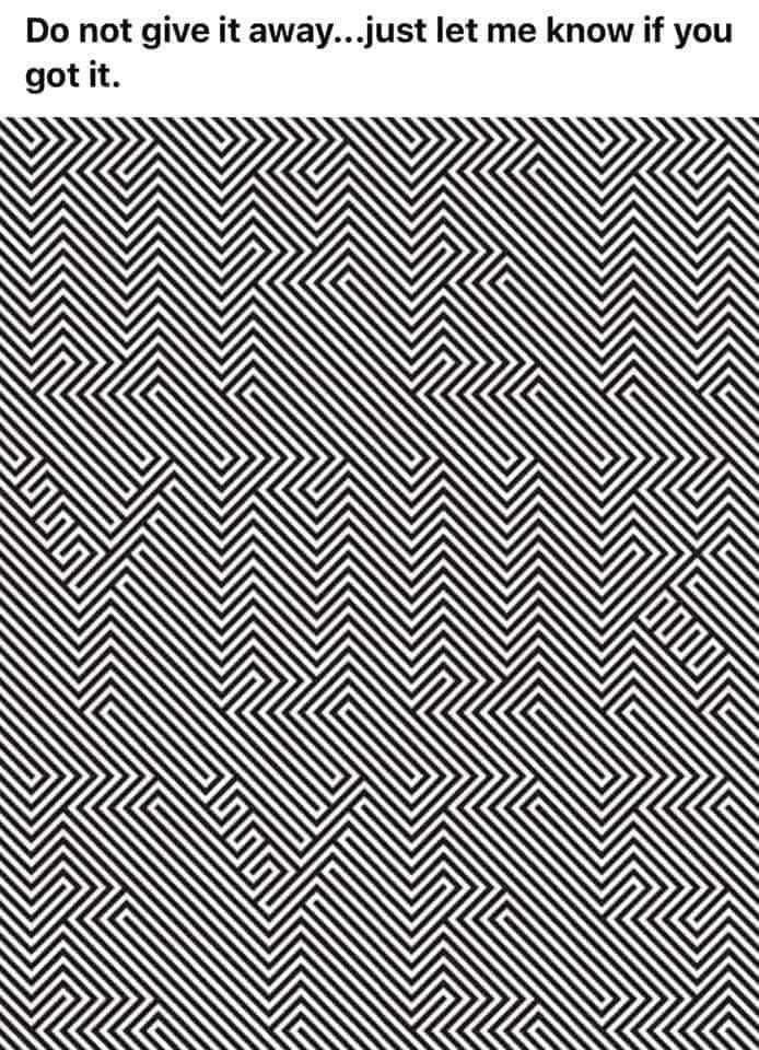 Яyu VogΞlhΞimΞЯ tweet media