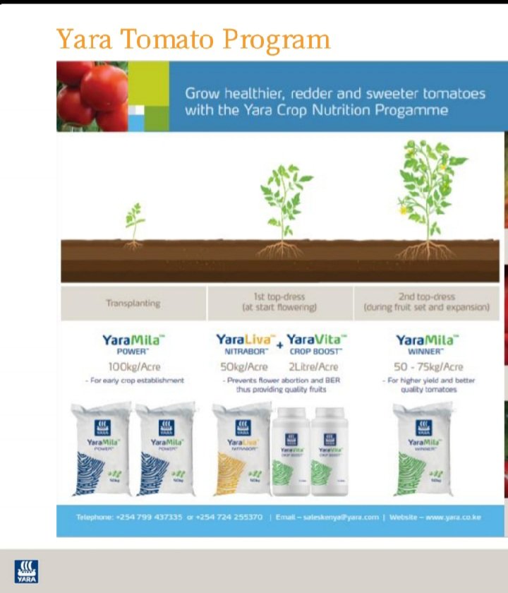 cegoiagri's tweet photo. If you want to be a successful farmer,getting good yields with a minimum cost of production, ensure you use a good nutrition program. 
@YaraKenya has developed a good program for tomatoes https://t.co/NWHW01uD5m
