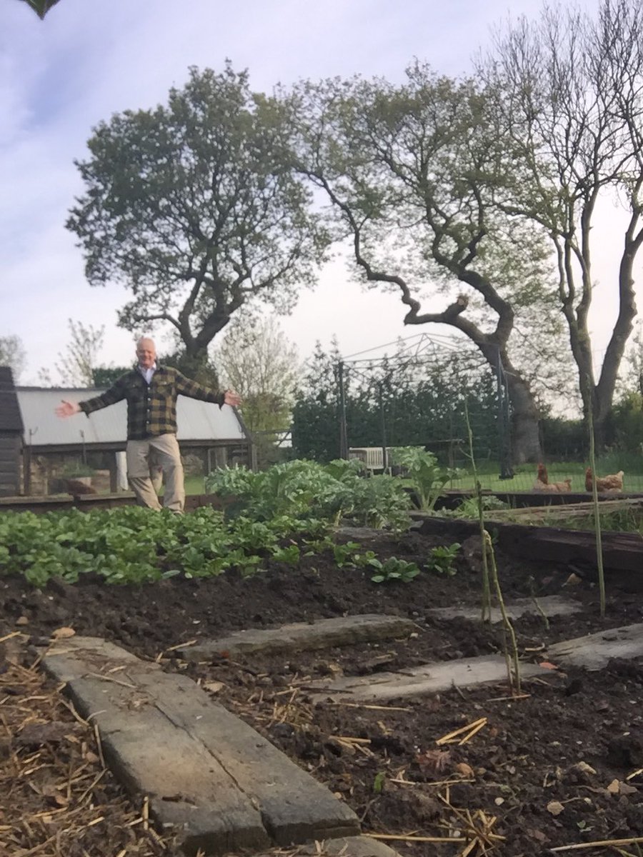 DavidGr00375118's tweet photo. Morning stroll to the veg plot. Girls laid 4 eggs so far, spuds, artichokes and strawberries all coming along. https://t.co/68vHR4JpoP