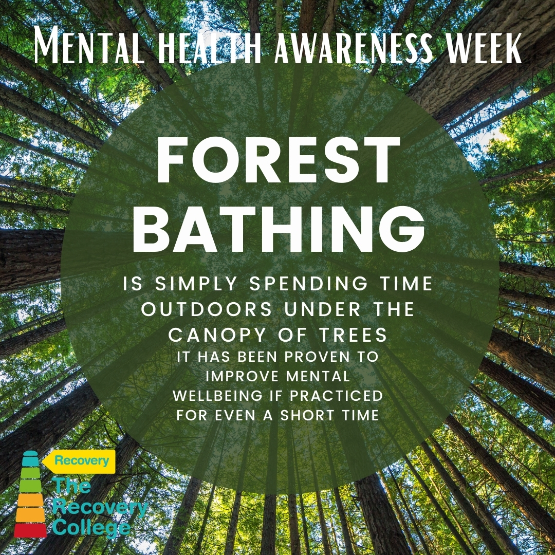 This Japanese practice is a process of relaxation; known in Japan as shinrin yoku. The simple method of being calm and quiet amongst the trees, observing nature around you whilst breathing deeply can help de-stress and boost health and wellbeing in a natural way.