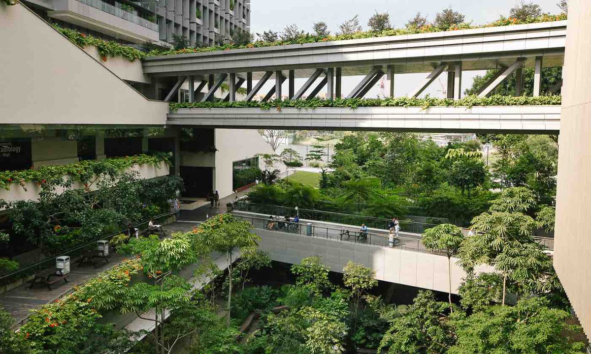 TricsWellbeing's tweet photo. Day four today of our #MentalHealthAwarenessWeek promotion. We will be exploring the link between Hospitals and nature. A Singapore hospital came up with a design to incorporate 700 trees into the plans for their new site, with patients describing the environment as soothing https://t.co/oLryoWfNZ7