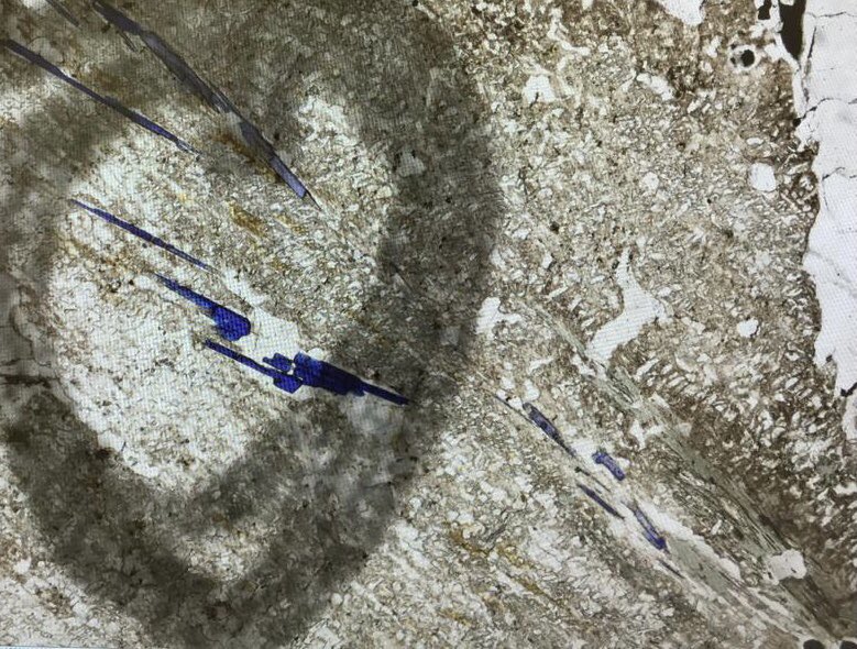 Silvia Volante tweet media