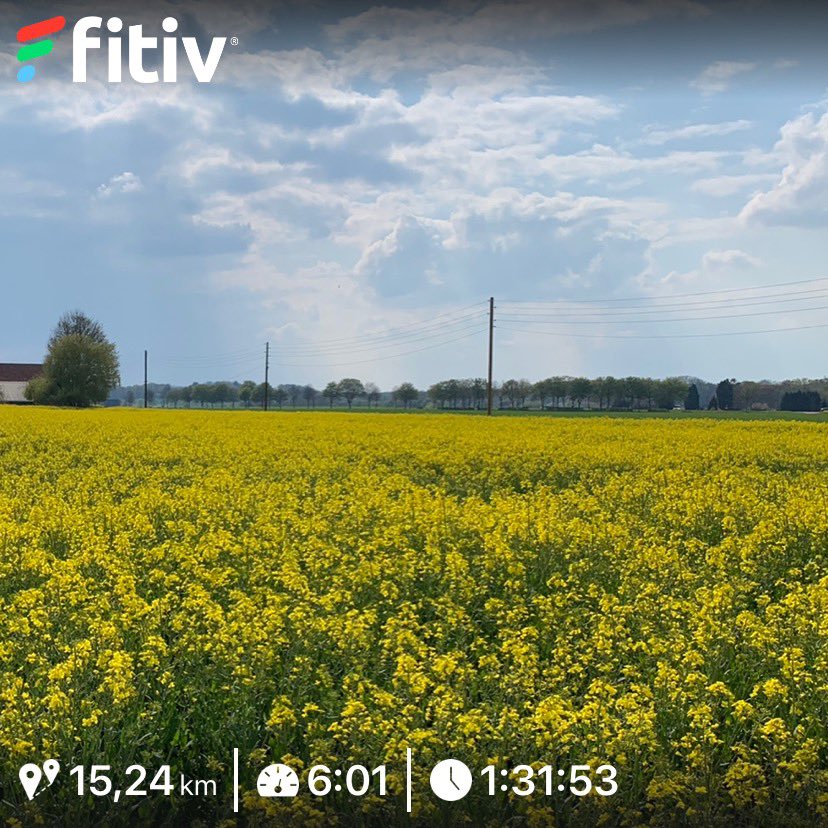 arnecls's tweet image. #runningprogress another 15km, this time at my target pace (4min faster than last time). Looks like 17km is next.