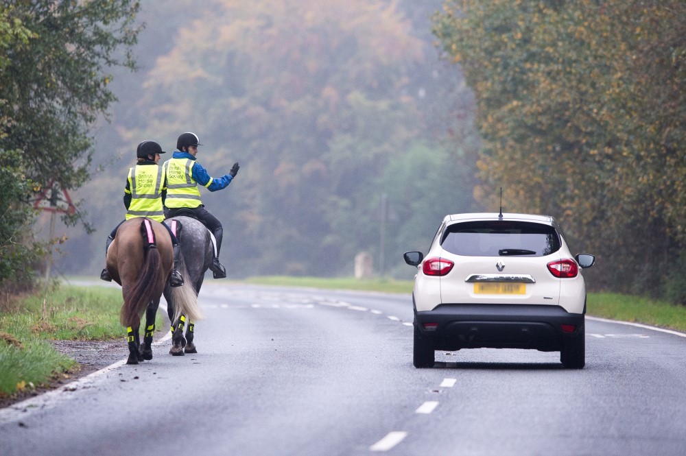 Brakecharity's tweet image. Rosie is taking action about how we educate drivers around horses - if you agree with her petition you can sign it here petition.parliament.uk/petitions/5849… #horses #roadsafety