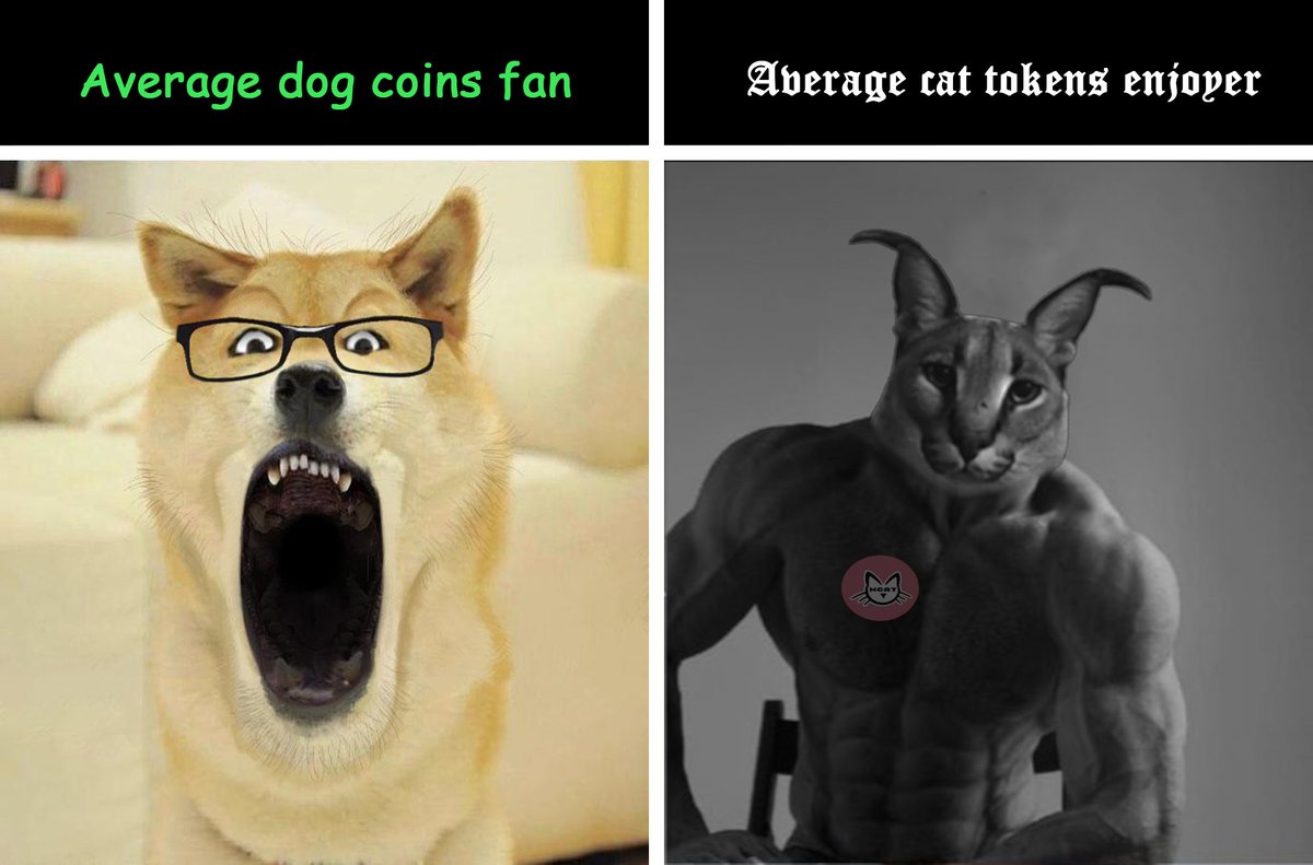 MKilojik's tweet photo. #NCAT #ncattoken #DeFi #dao
@ncattoken
#cat #catcoin  #BinanceSmartChain #bnb #nft #ncatworldgame https://t.co/a2npmzNcBn