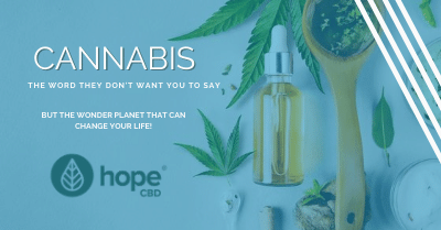 HopeCBD tweet media