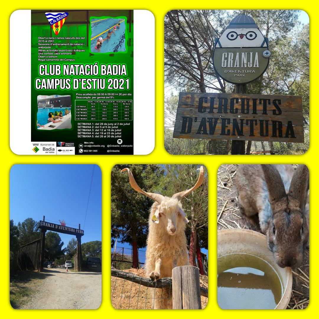 cnbadia's tweet image. Otra de las excursiones la haremos a @GranjaAventura 👏🏽👏🏽🔝🔝

No dudes en apuntarte!!!!📝📝💛💚

Recuerda nuestro #instagram @cnbadia  y el mail aina@cnbadia.org para reservar la plaza!!!🌻🌻
#cnbadia #excursionesmolonas #campusdeverano #osesperamos #diversiónasegurada