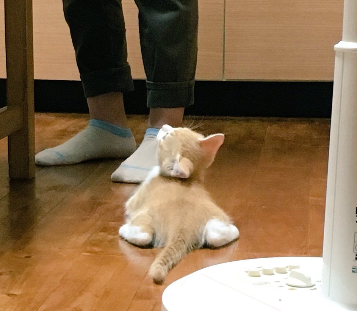 เทีย tweet media