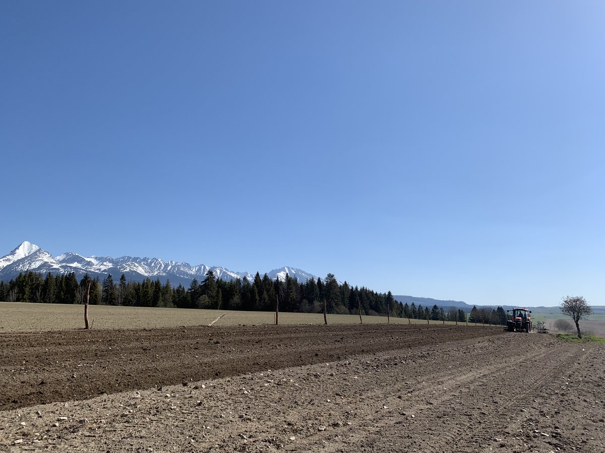 We are planting the herbs. Can you guess where it is? New Zealand?