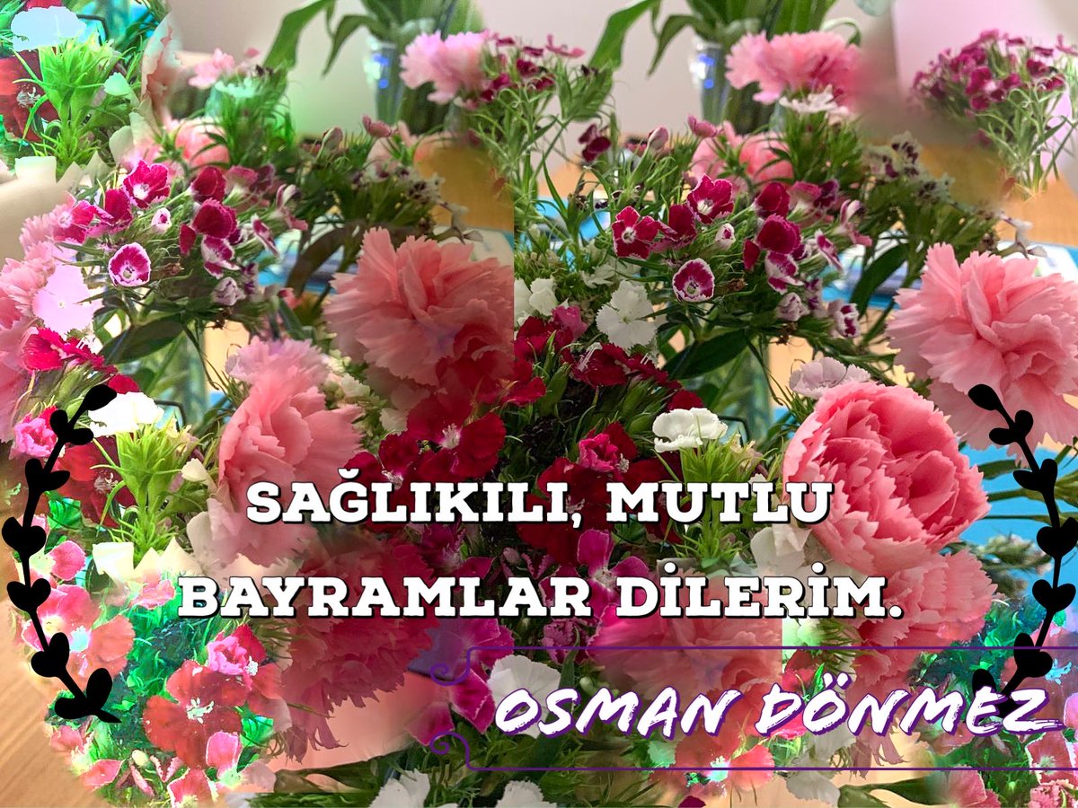 Prof. Dr. Osman Donmez (@odonmeztr) on Twitter photo 