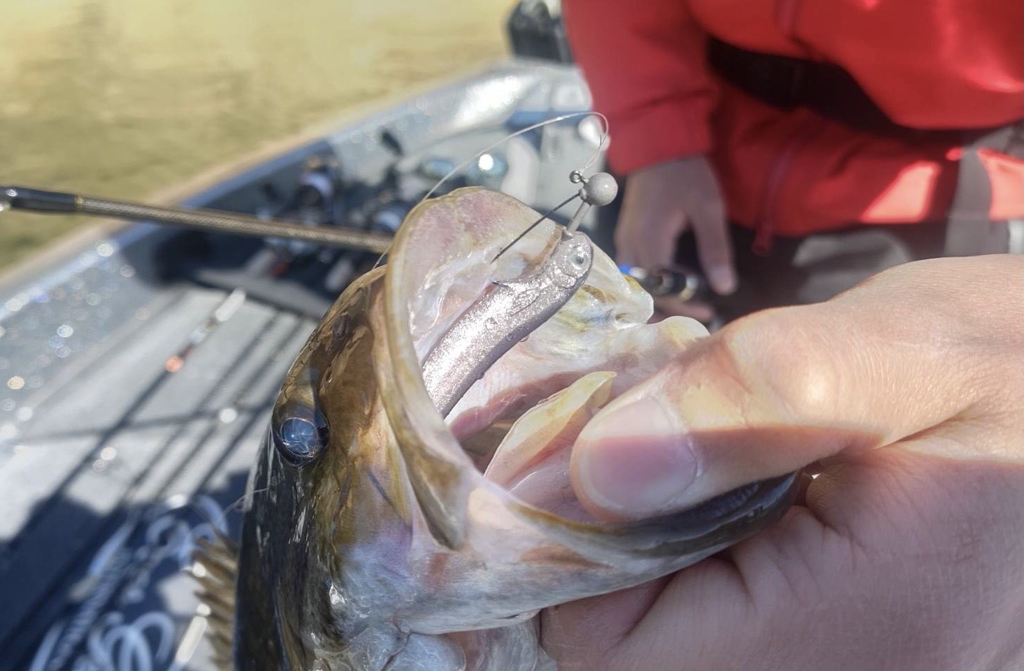 黒田 直希 今回の桧原湖練習で大活躍したルアーが ラストエース のジグヘッドリグ ワカサギを捕食しているバスをターゲットに ワカサギが留まりやすいエリアをランガンしてキロフィッシュをベースに釣って行く事ができました ラストエース75 ラスト
