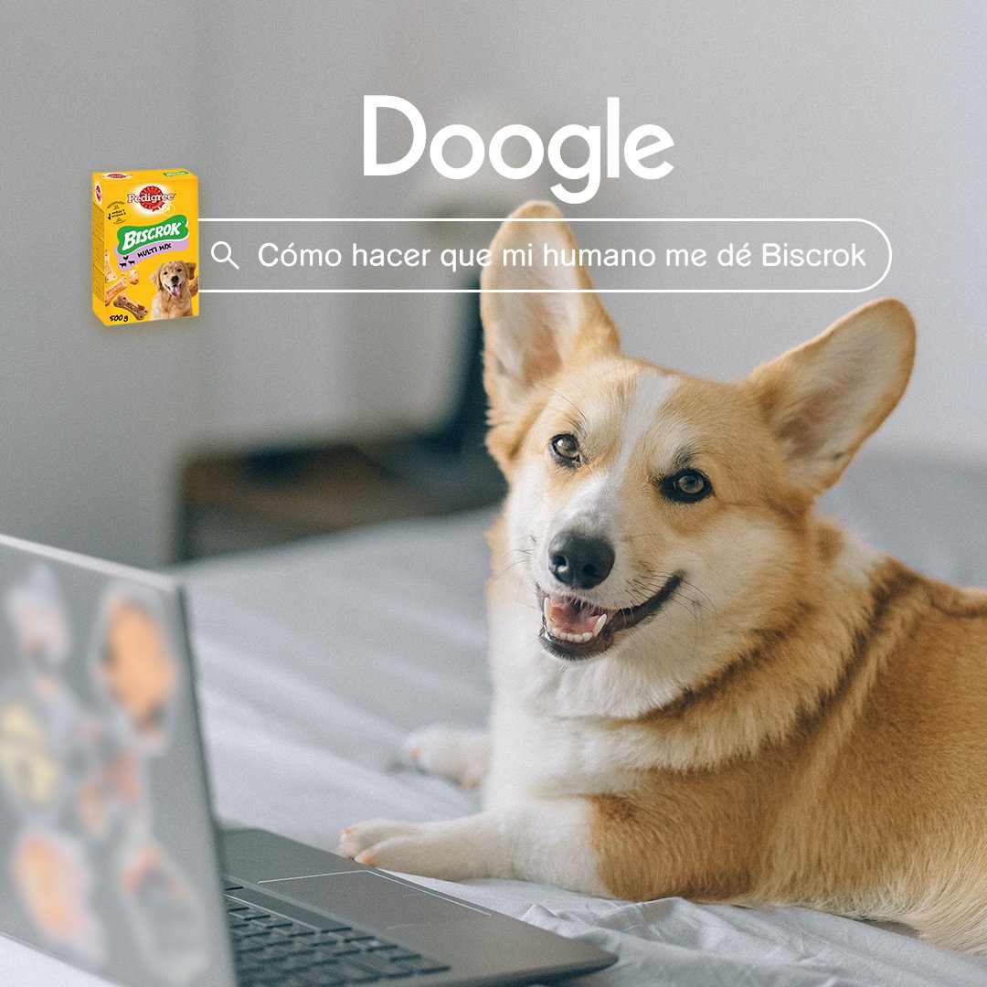 “Síguele a todas partes”. “Dale mimos para que te los devuelva en forma de galleta”. “Mira fijamente al armario donde los guarda”. Los perretes también tienen sus estrategias para ganarse sus deliciosas Biscrock…