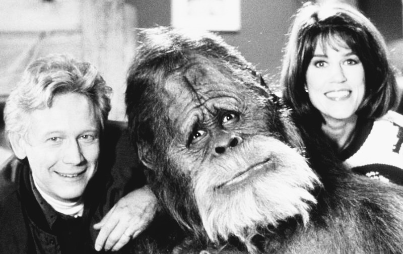 Mark Hamill, Peter Mayhew and Carrie Fisher pose for the camera during a break in filming Return of The Jedi (1983) https://t.co/0Bwz5kqzv0