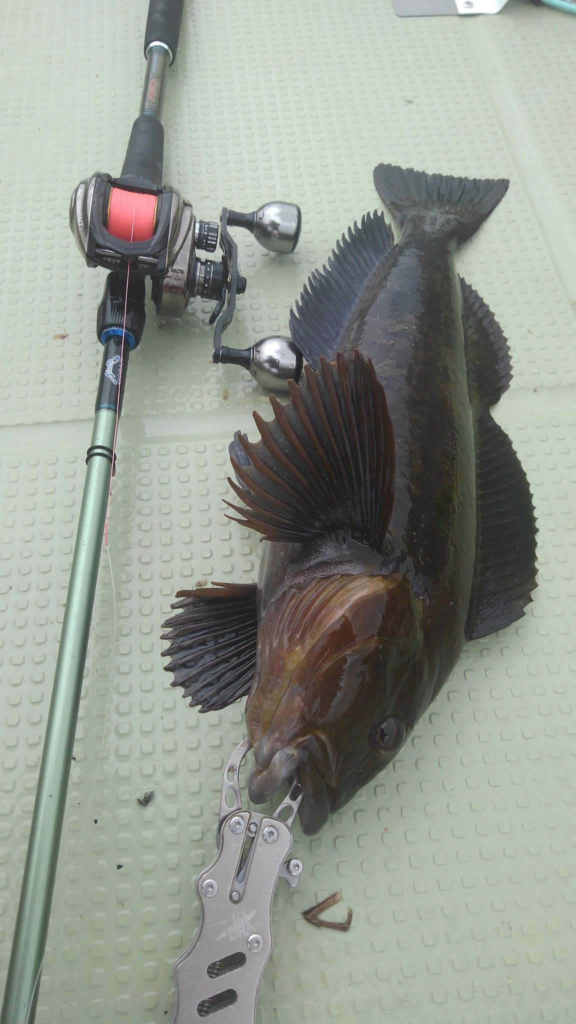 即発送可能 RPO710HS2 美品✨ノリーズ ロックフィッシュボトムパワー