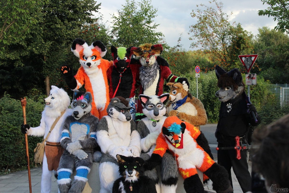 Fursuit Photo of the day