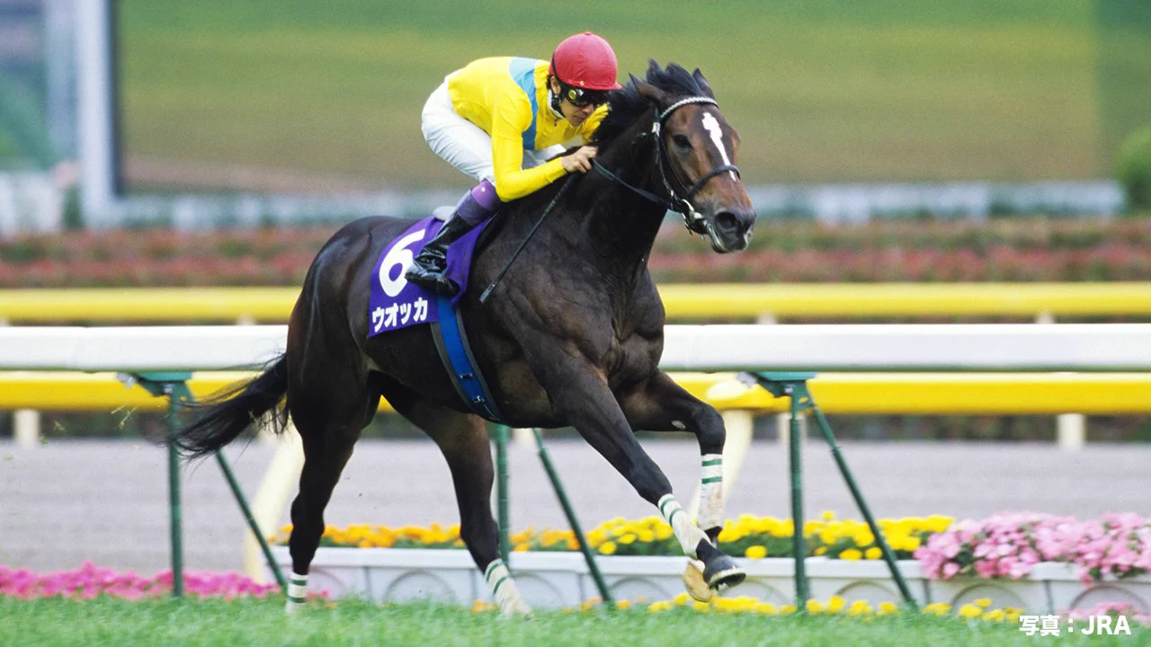 JRA FUN CLUB on X: 