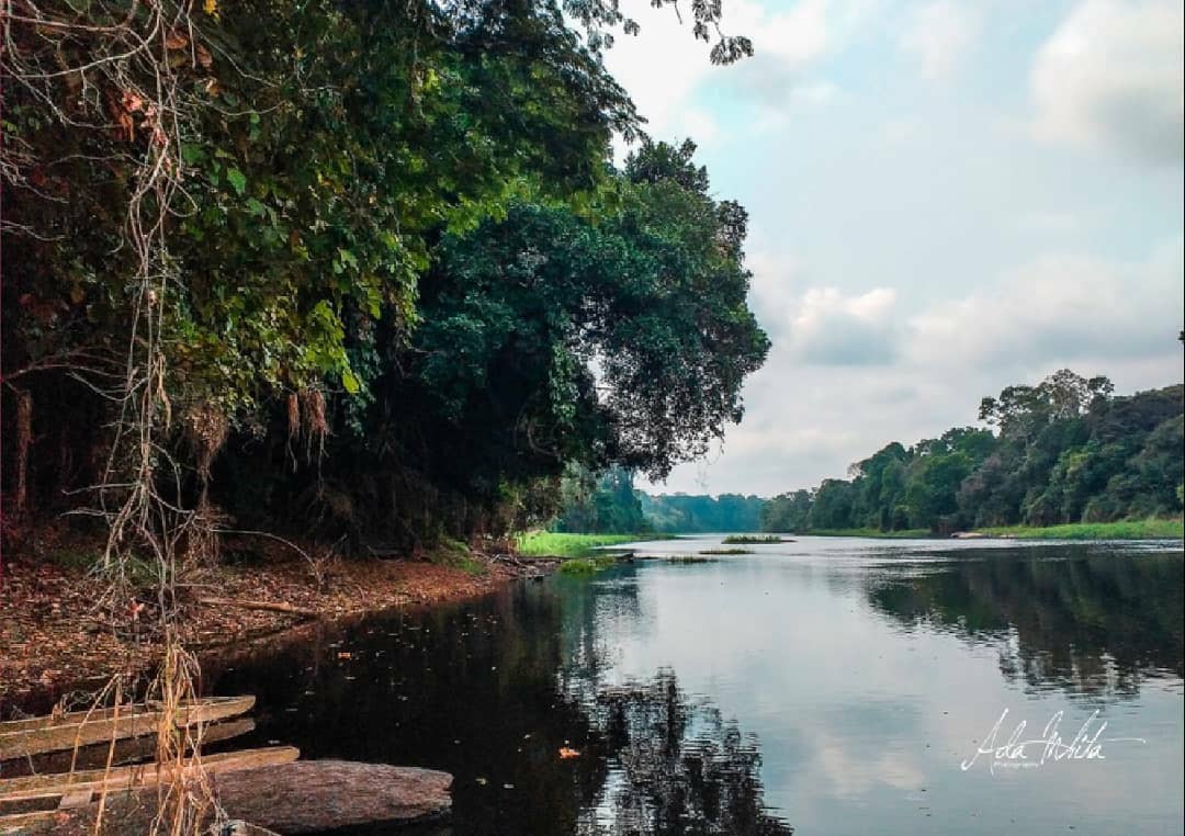 mboapic's tweet image. Balade sur le #nyong à #Ebogo, un site écotouristique à visiter absolument
Découvrir le #Cameroun🇨🇲➡😱🌇💚❤💛
Welcome to #Cameroon

#voyage #237DaysTrip #trip #photographer #travelphotography #mboapic #roadtrip #traveln #landscape
#BaladeAuCameroun