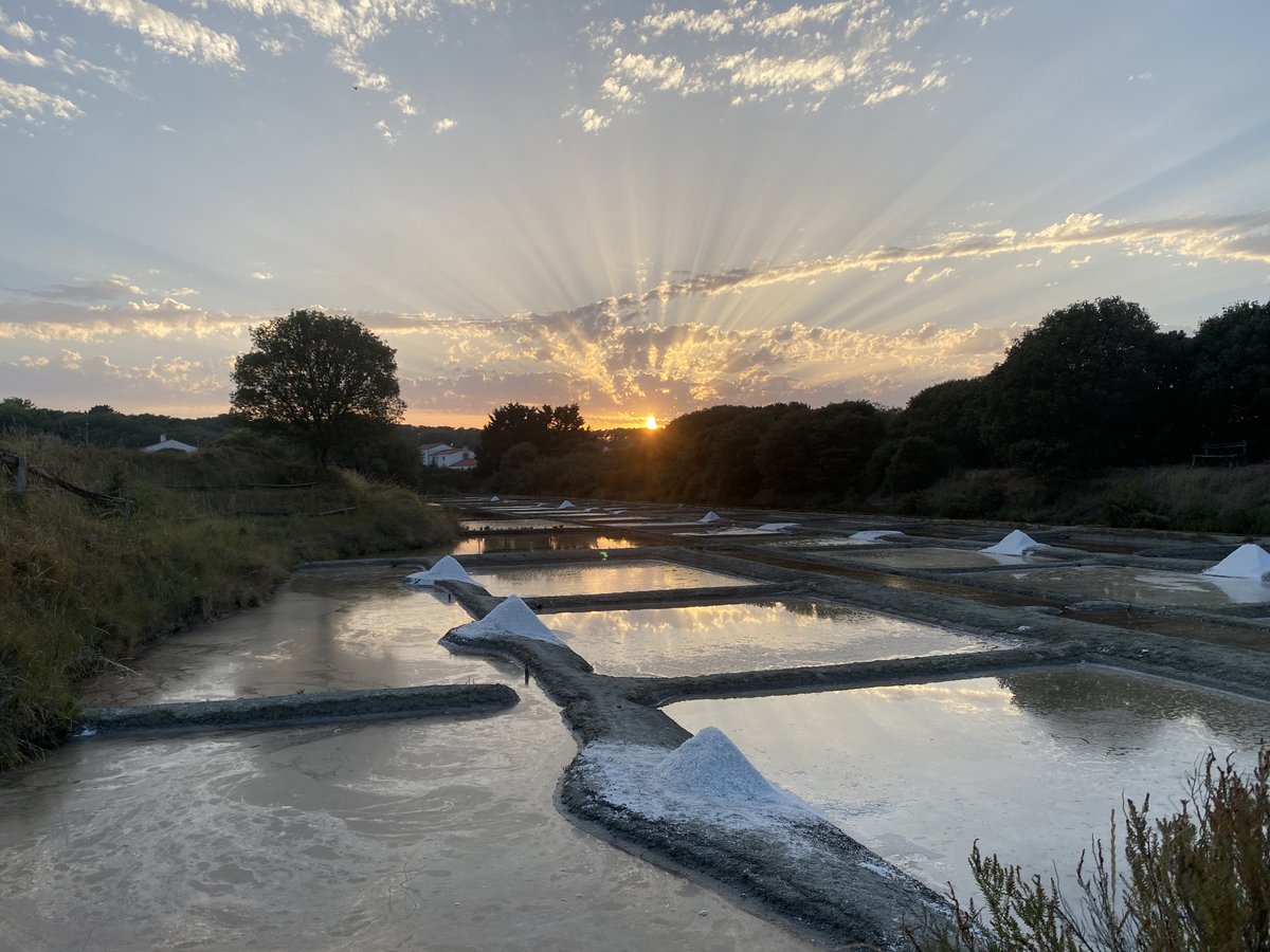 A vos agendas ! Les visites du Parc d'Aventure du sel des Salines commenceront officiellement le Vendredi 21 Mai 2021 et pour les Balades en Bateau à partir du Dimanche 23 à 15H (réservations par téléphone au 02.51.21.01.19). A très vite pour de nouvelles aventures salées !!!