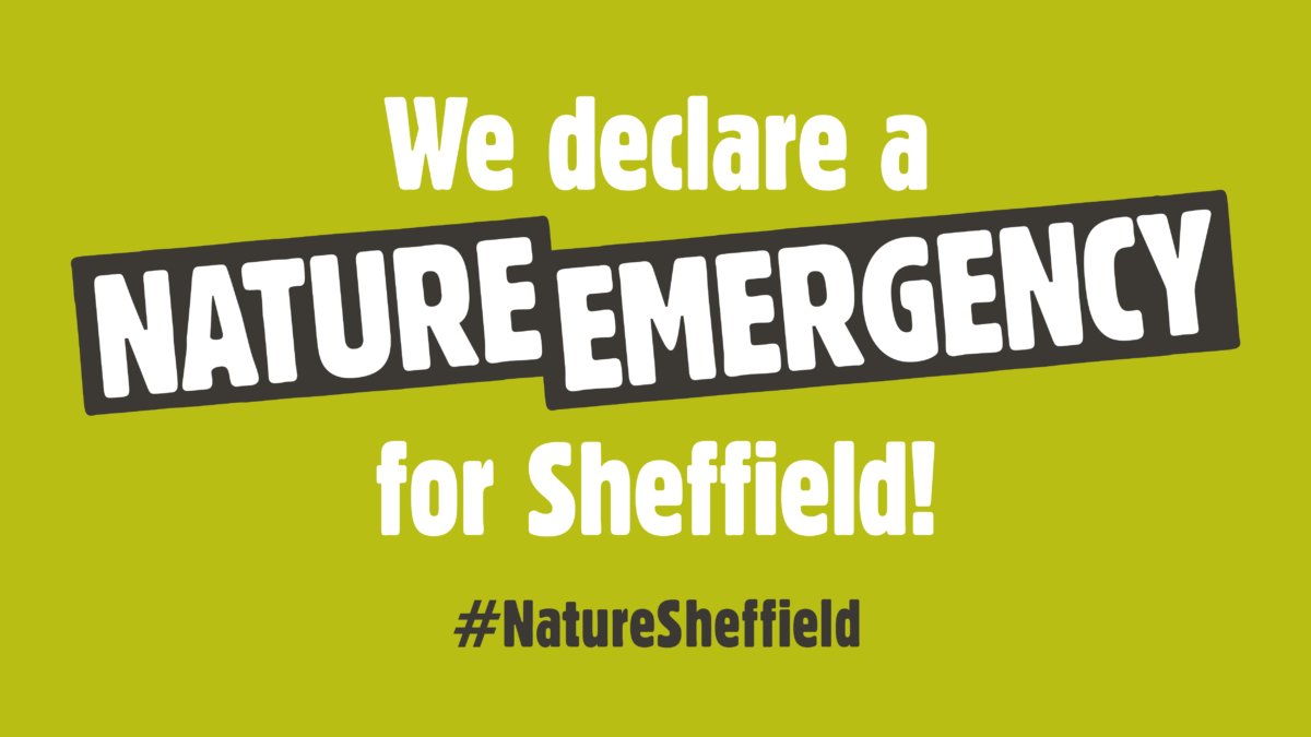 We'll be declaring a #NatureEmergency in #Sheffield on Friday 21st May. Will you? Check the link for how you can take part, make a video declaring a #NatureEmergency and share it using #NatureRecovery. This is vital, 1 in 4 UK species risk extinction! 

wildsheffield.com/naturesheffiel…