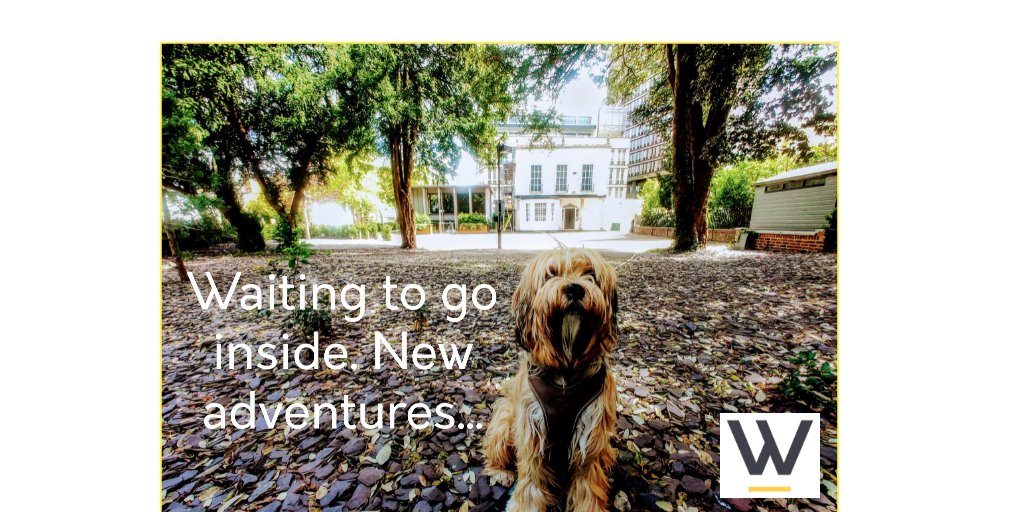 Our stunning new location will offer:
- private offices
-coworking spaces
- studio space
Register your interest now!