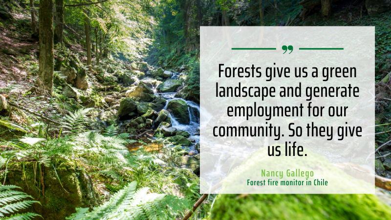 PEFCapac's tweet photo. #Forests are vital for the livelihoods of hundreds of millions of people and even more animals and plants, but they also have a meaning for each of us personally.
Learn about the importance of our forests through the PEFC #Forestquote!
#PEFCChile https://t.co/3gjm0OiDku