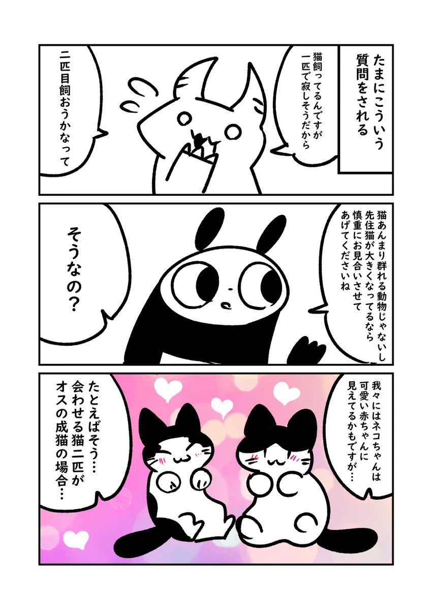 猫を「おっさん」に例えたら解りやすかったけど怖かった。多頭飼いの注意点。