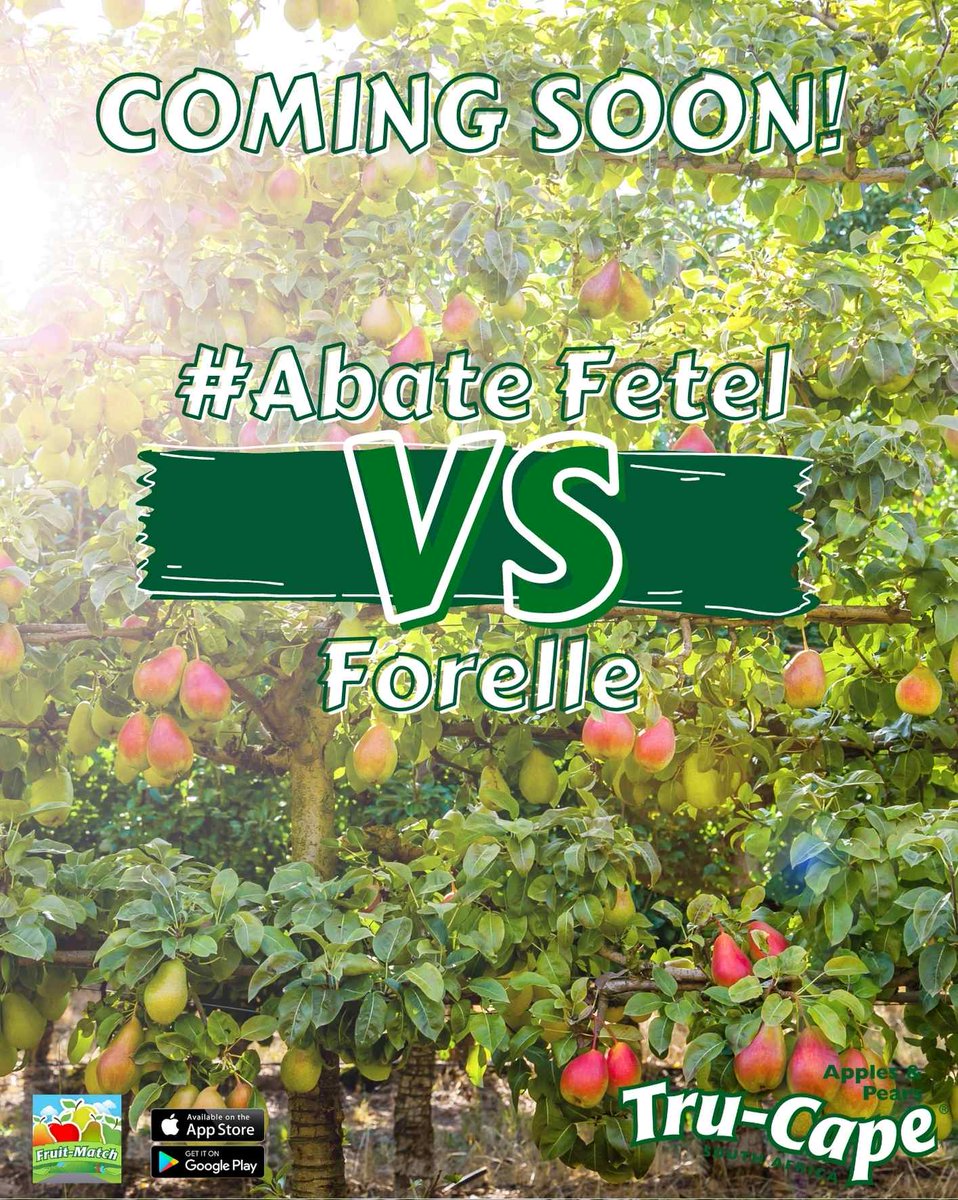TruCapeFruit's tweet photo. Get ready for the #AbateFetelVSForelle competition coming soon!
 
To pre"pear" for this awesome competition, keep an eye out on our Facebook page!

#AbateFetelVSForelle #competition #loading #comingsoon #win #FruitMatch #pears #TruCape https://t.co/6b20NKVXx5