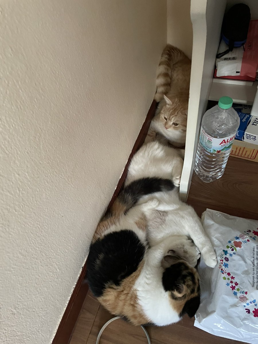 ที่มีเยอะแยะไปนอนเบียดกันทำหยังงงงง