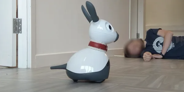 CqRMiRo's tweet image. We interviewed Professor @lynneabaillie from @HeriotWattUni who, along with her research team investigated how MiRo could support fall assistance in the home. Read her case study interview here: miro-e.com/case-study-her… #fallalert #care #robotics #socialrobots #coding #Programming