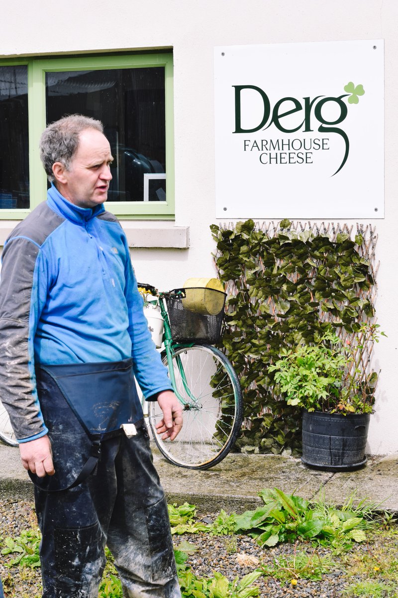 Mikey Ryan's tweet media