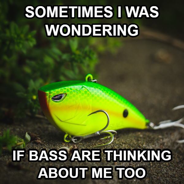 No one doesn't like this chartreuse color. 
Hope you all have caught a nice bass when throwing the bait. Details: amzn.to/3ht4DCh
-
#bassfishing #fishinglures #fishingbaits #runcl #liplesscrankbaits #freshwaterfishing #fishingmemes