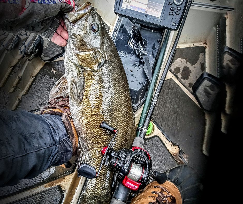 #NewArrivalAlert from RUNCL
The Merced baitcasting reel is of great value for those on a small budget, turns any angler into a PRO.
Only $39.99
More details: amzn.to/3eFvo4v
-
Picture credit: @j_sharp_bassnbeer 
#bassfishing #fishing #freshwaterfishing #Runcl #fishingreel