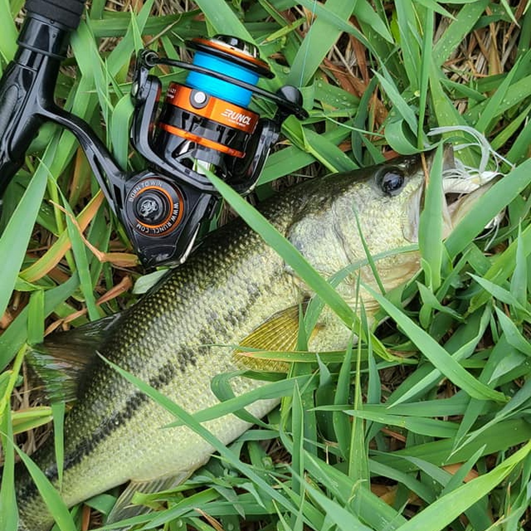 @customsbycoon shared his first catch on his Rushmore #spinningreel. Not a big one, but still had much fun on the water. Hope you have a great time this week too!!
Spinning reel used: amzn.to/2R3dwHU
-
#bassfishing #kayakfishing #runcl #fishingreel