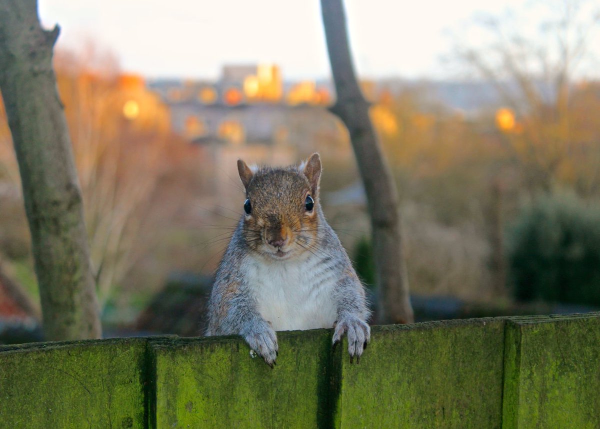 This #Somerset -based service user describes how getting out into #nature and enjoying a hobby has improved his #wellbeing and aided his #recovery. #MentalHealthAwarenessWeek2021 is all about the positive effects of nature on #mentalhealth swemploymentandwellbeing.org.uk/how-a-hobby-he…