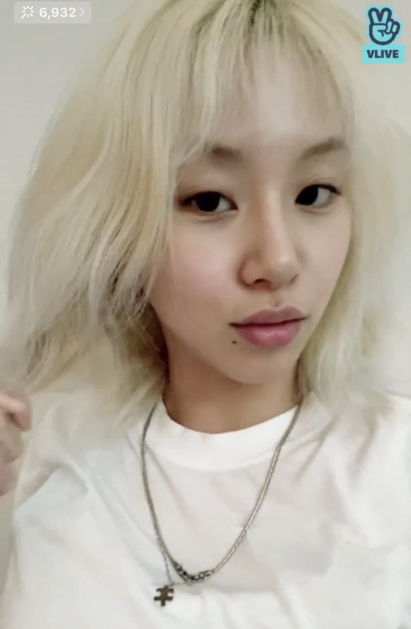 chaeyoung archive on X: 
