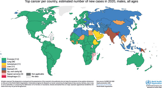 The Lancet (@thelancet) on Twitter photo #ProstateCancer is the 2nd most frequent cancer in men. In 2020, there were around 1.4 million new cases and the disease is set to become a much bigger burden globally.
Read about the aims of new <a href="/TheLancet/">The Lancet</a> Commission on Prostate Cancer: hubs.li/H0Nf7vY0 #ProstateCancer is the 2nd most frequent cancer in men. In 2020, there were around 1.4 million new cases and the disease is set to become a much bigger burden globally.
Read about the aims of new <a href="/TheLancet/">The Lancet</a> Commission on Prostate Cancer: hubs.li/H0Nf7vY0