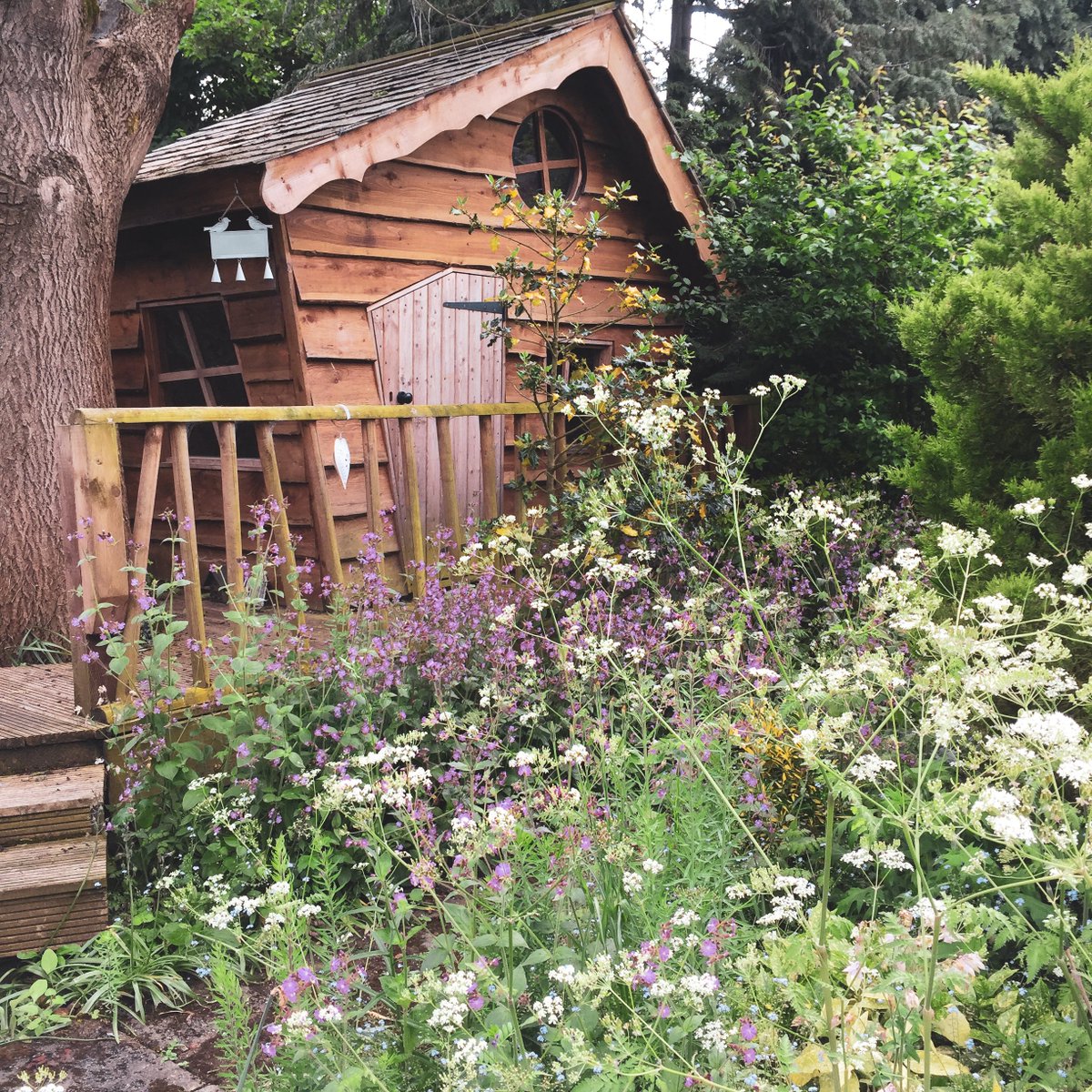 Lisa_R_sheehan's tweet photo. Inspiration for Ted's house (our tree house at the end of the garden, where 'Ted' lives) 😁🐉🐻#justbeingted
#kidlit #kidlitart #ChildrensBooks #childrensbookillustration #picturebook #picturebooks @BusterBooks https://t.co/VCli3rlYCK