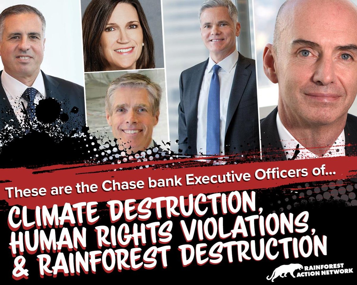 ayudaralplanet1's tweet image. @Chase Executives have the power to pull the plug on Chase’s #fossilfuelfinancing. Right now, Chase is profiting from #climatedestruction, #humanrights violations, and #rainforestdestruction and it needs to end.✍️  act.ran.org/page/29353/act…
