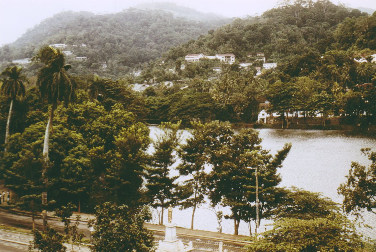 WoodpeckerM's tweet photo. @biennial_piano @GabiHorstmann #9
#SriLanka #Kandy #KandyLake https://t.co/YYdOeJQYJG