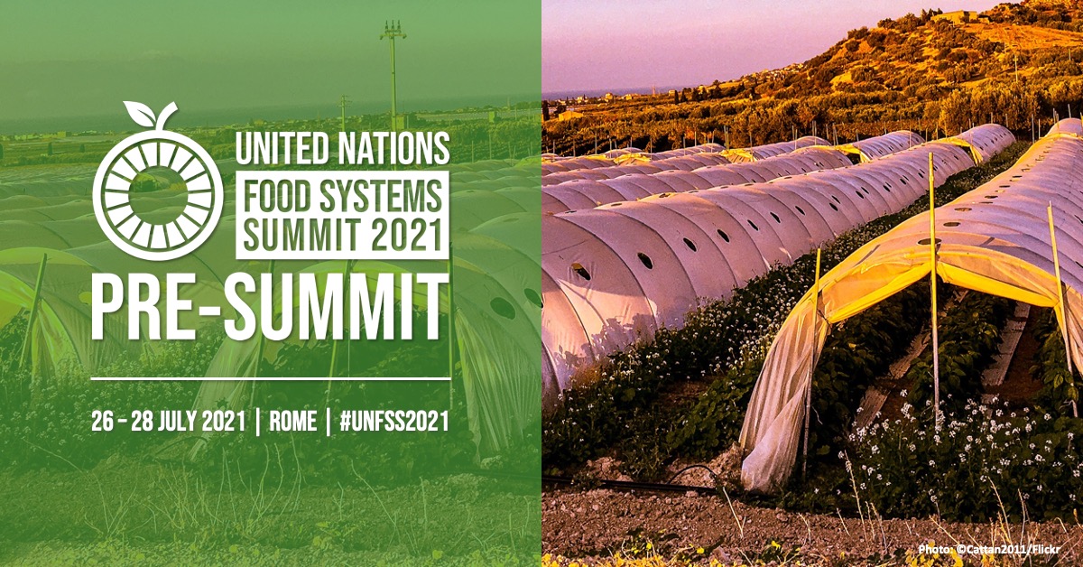 🗓️ Mark your calendars! 26 – 28 July are the new dates for the <a href="/FoodSystems/">UN Food Systems Coordination Hub</a> Pre-Summit.

The Pre-Summit will convene a wide range of stakeholders to launch efforts towards transforming #FoodSystems and creating a better 🌎 for all.

📍 Rome, Italy
▶️ bit.ly/unfss-ps